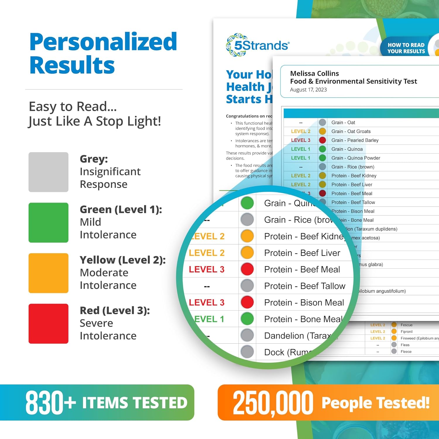 5Strands Food Environmental Sensitivity Test for Adults Children, 855+ Items Tested, Kids Intolerance Testing Kit, at-Home Hair Analysis, Results in 5 Days