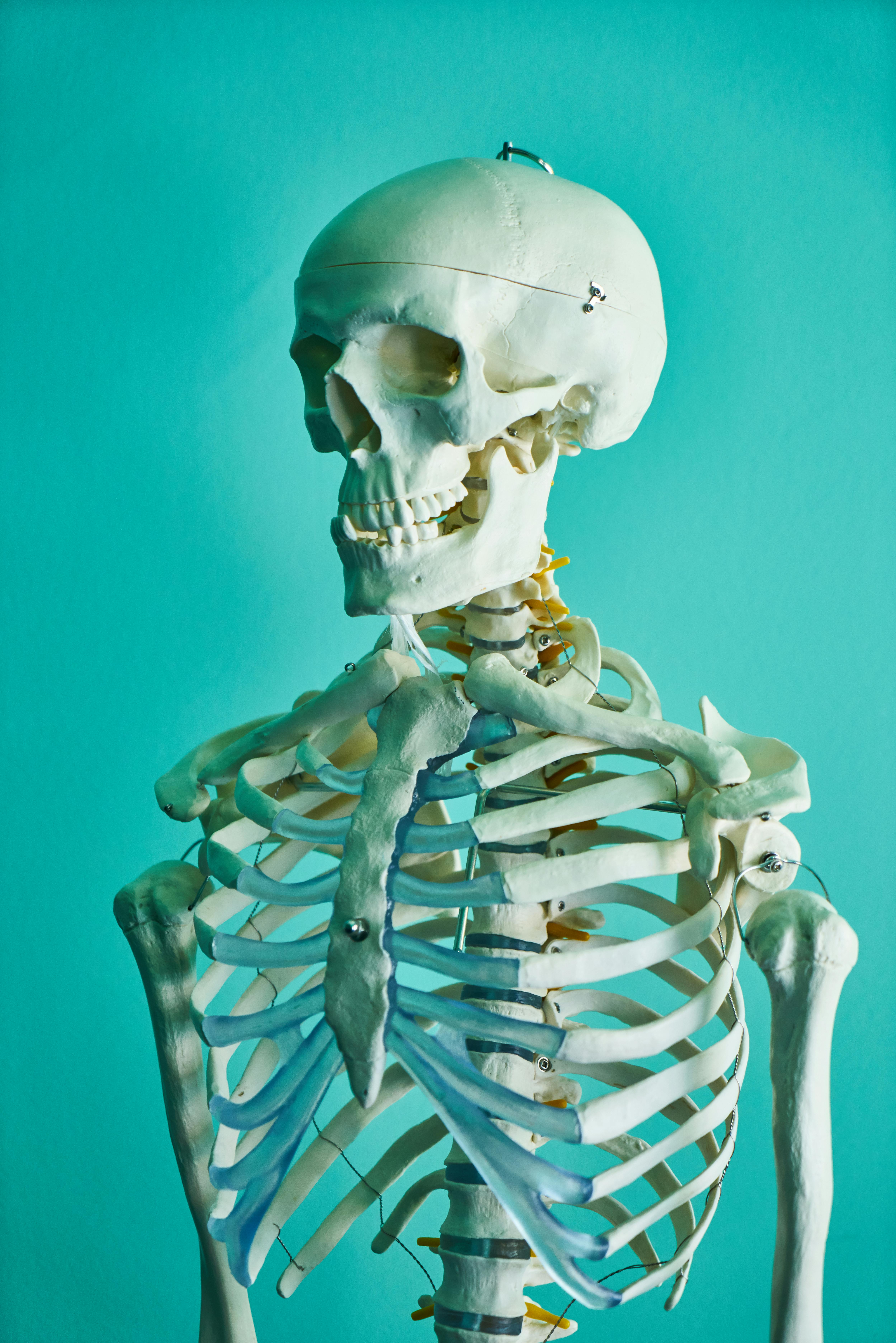 Can A Diet Low In Calcium Affect Bone Density?